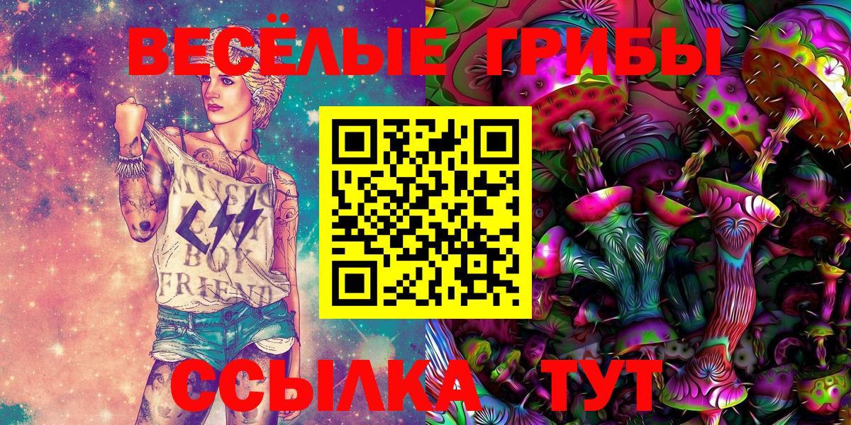 купить  цена  Вход с VPN  Мирный  Галлюциногенные грибы Cubensis 